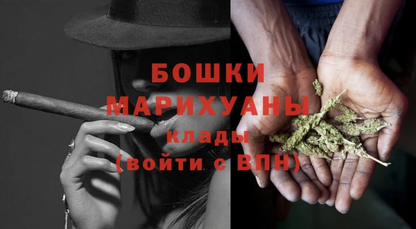 дживик Липки