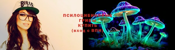 дживик Липки