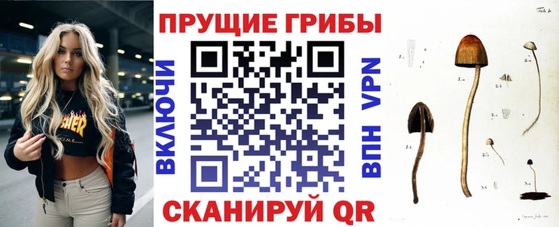 Галлюциногенные грибы Magic Shrooms  Электроугли 